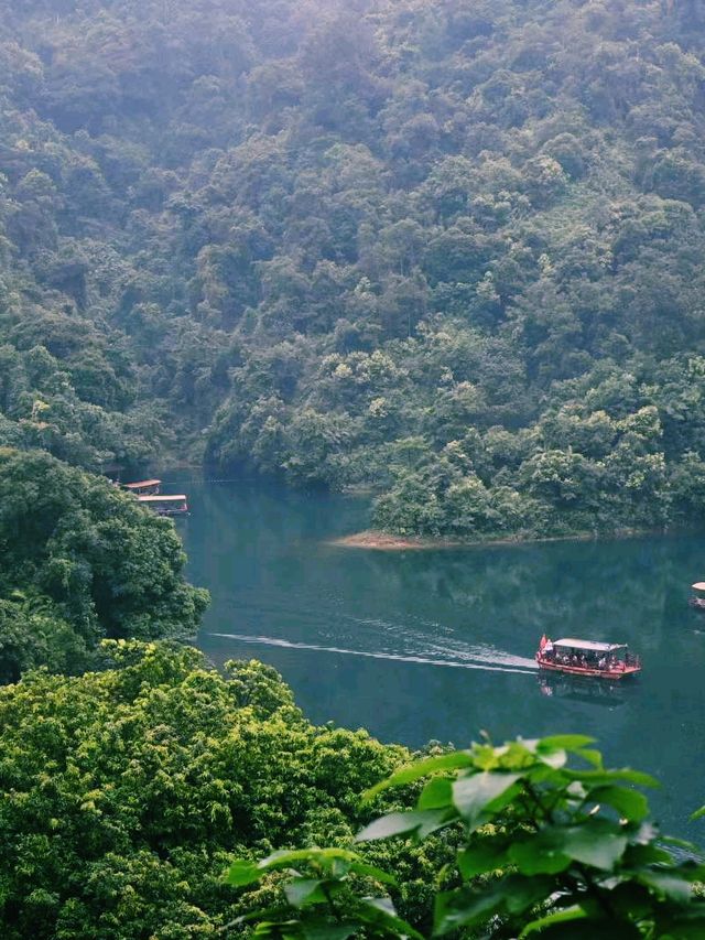中國廣東肇慶旅行攻略，適合打卡拍照📸