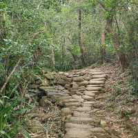 馬鞍山郊野徑（Ma On Shan Country Trail）