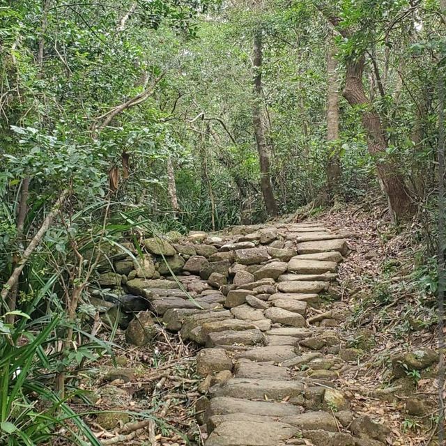 馬鞍山郊野徑（Ma On Shan Country Trail）