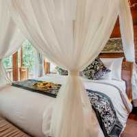 A Hidden Gem of Tranquility and Charm