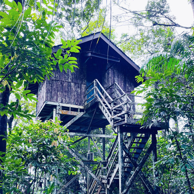 Permai Rainforest Resort: A Serene Getaway in Nature’s Embrace