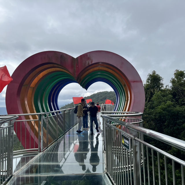 Immersed in Nature: Exploring Yanoda Rainforest in Hainan 