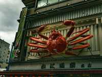 Vibrant Osaka: Japan’s Culinary and Cultural Powerhouse