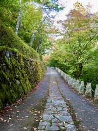 MOUNT YOSHINO | JAPAN’S SACRED SEA OF CHERRY BLOSSOMS