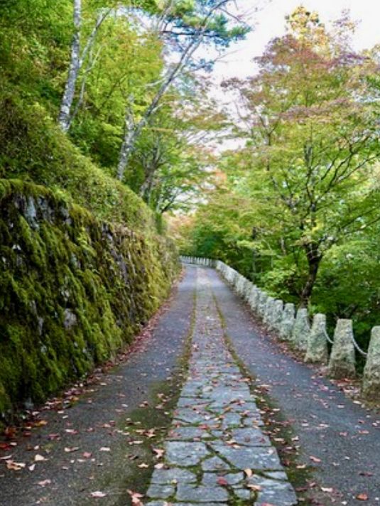 MOUNT YOSHINO | JAPAN’S SACRED SEA OF CHERRY BLOSSOMS