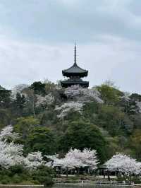Yokohama: A Port City Blending Tradition and Modernity