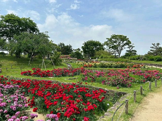 Hamadera Park – Osaka’s Historic Green Escape