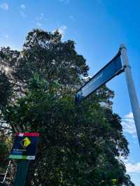 奧克蘭 Murrays Bay｜Churchill Reserve 海邊步道輕散策