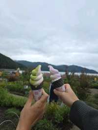 1Day Tripที่คาวากูจิโกะ 🏔