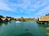 ไปนามา คาเฟ่ สำหรับการมานั่งชิลล์ หน้าฝน