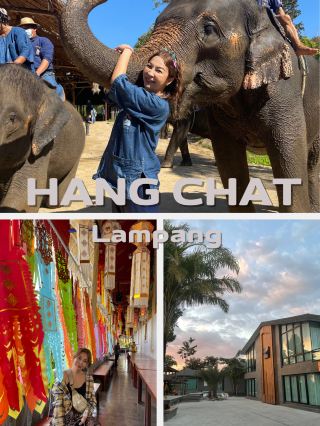 A Day with Elephants in Lampang