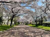 Terao Central Park, Your New Favorite Chill Spot