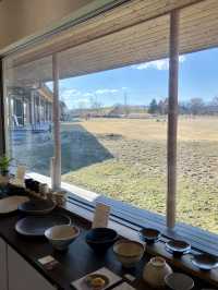A Relaxed Day in Morioka – Castles, Parks & Pizza