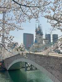 Seoul’s Secret Spring Kingdom – Castle & Blossoms