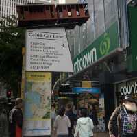 Wellington ショートトリップ