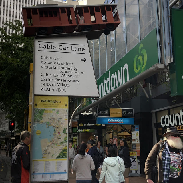 Wellington ショートトリップ