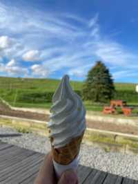 雄大な美瑛の自然を感じられる牧場🐄🌿ここでしか食べられない絶品ソフトクリームやチーズトーストは絶対に食べるべき🤤🧀