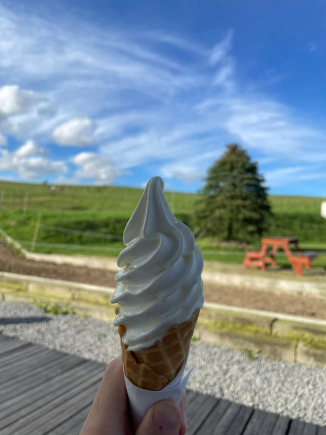 雄大な美瑛の自然を感じられる牧場🐄🌿ここでしか食べられない絶品ソフトクリームやチーズトーストは絶対に食べるべき🤤🧀
