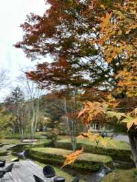 【軽井沢】秋の森で月を愛でる贅沢な時間「星のや軽井沢」