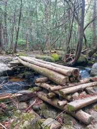 Thru-Hiking the Appalachian Trail: 2,190 Miles of Pure Adventure