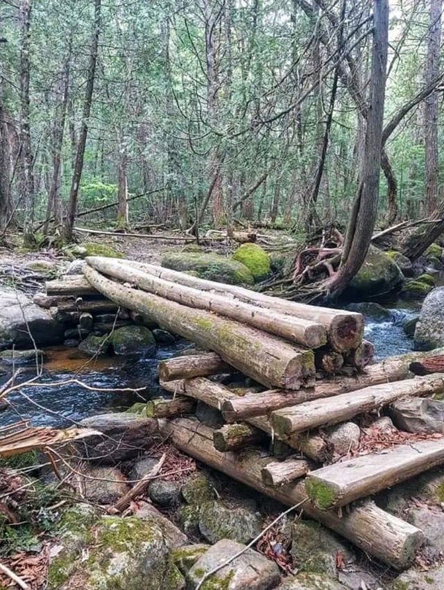 Thru-Hiking the Appalachian Trail: 2,190 Miles of Pure Adventure