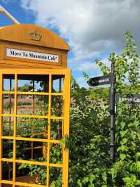คาเฟ่ Move To Mountain