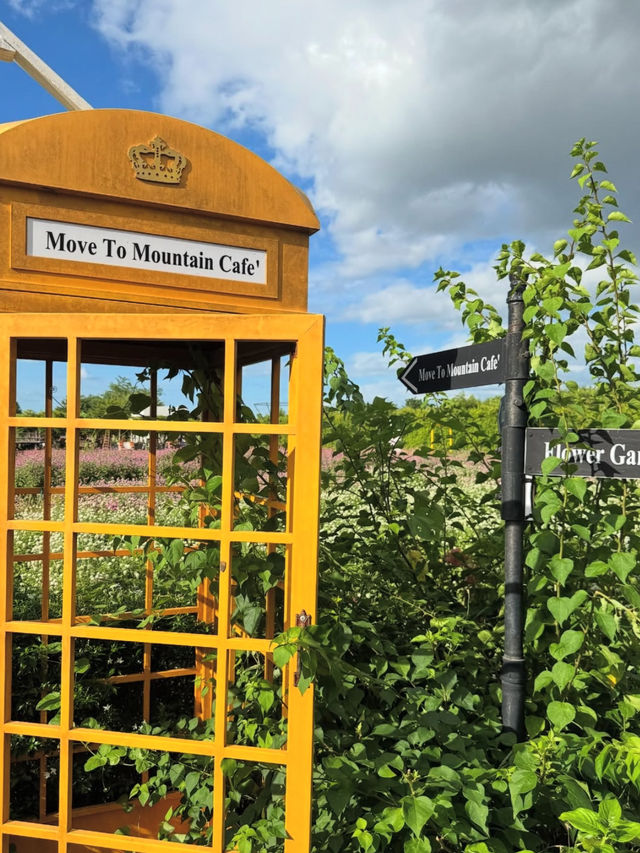 คาเฟ่ Move To Mountain