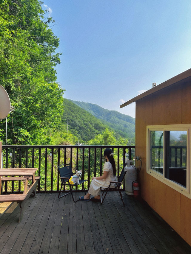 시원한 계곡 옆 초신상 촌캉스 숙소로 여름 휴가⛱️