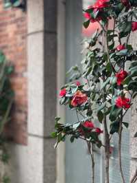 Tianzifang - An artistic gem in the heart of the city