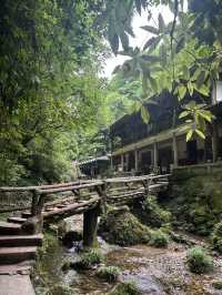 A Quiet Afternoon in Qingcheng’s Back Mountain