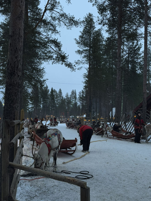【フィンランド🇫🇮】サンタクロースに会える？！サンタクロースヴィレッジ🎅🏼