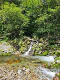 Achigari Valley, Nature’s Chill Spot Tucked in Gangwon-Do