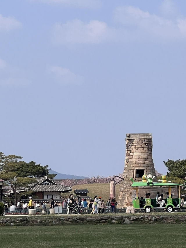 경주 알찬 1박 2일 여행코스💕