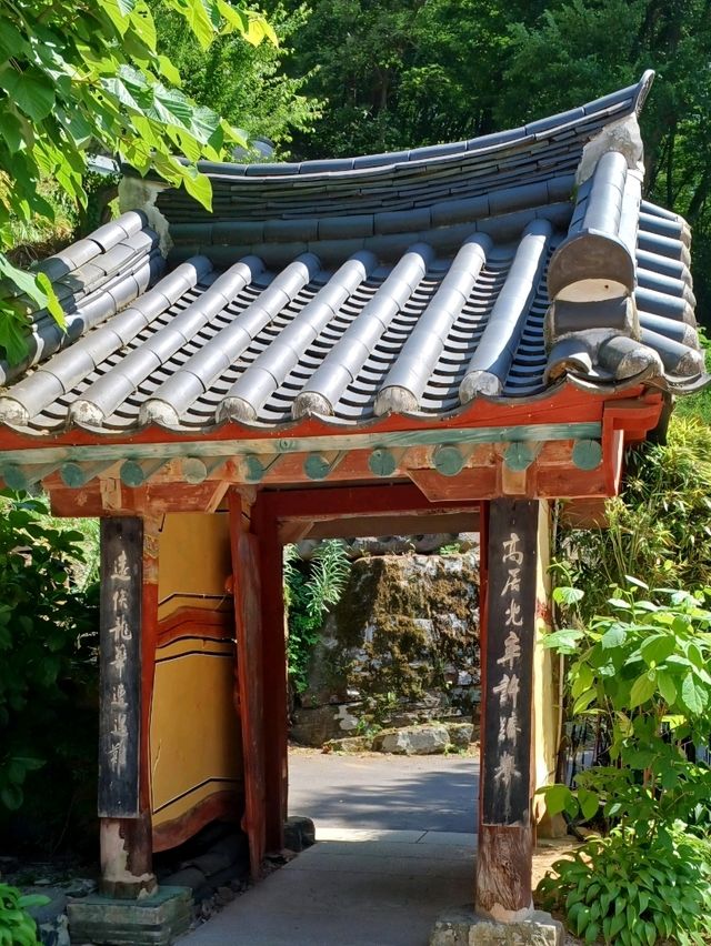숲속의 감성 충전소, 장춘사 데이트 🌲