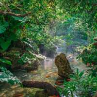  คาเฟ่ในป่าบรรยากาศสบายตาเขียวชะอุ่ม