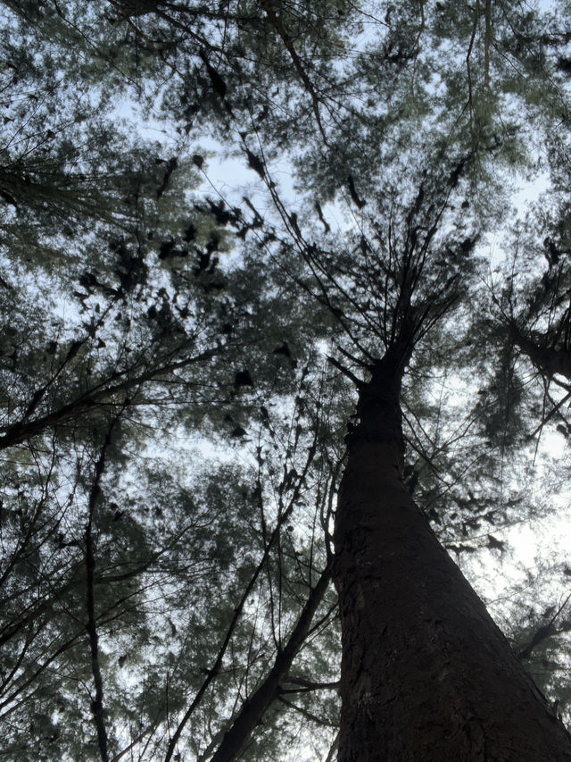 Terengganu, where scenic and traditional at one place.