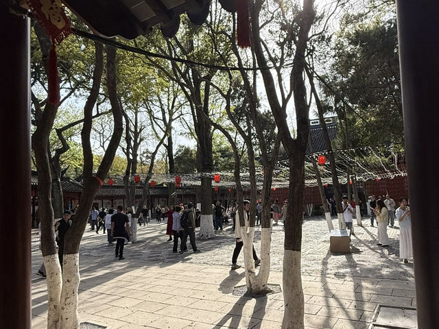 蘇州｜初春·寒山寺