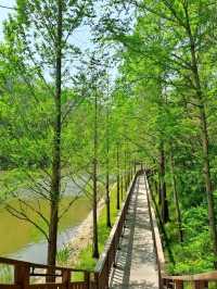 Yongso Well-being Park