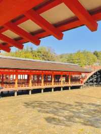 【広島】世界遺産厳島を旅する
