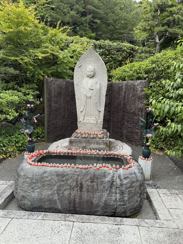 🌿 A Quiet Victory: Our Family Trip to Katsuo-ji Temple, Osaka