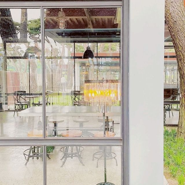 Soul Roastery Cafe