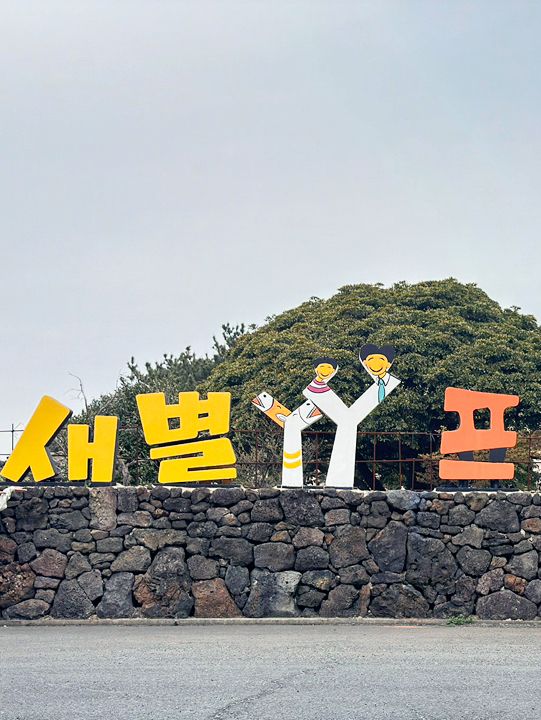 🐴 초원 위의 작은 친구들, 제주 새별프렌즈 방문기 