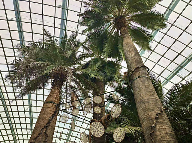 เที่ยวสิงคโปร์ 🇸🇬