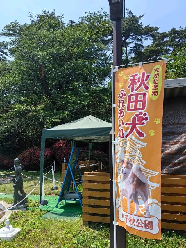 秋田免費景點～千秋公園