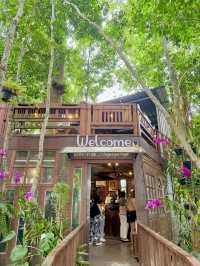 ☕🌿 รีวิว Maysia Café พัทยา ☕🌿