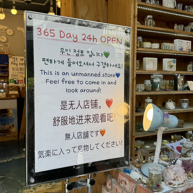 Busan – My Coastal City Escape