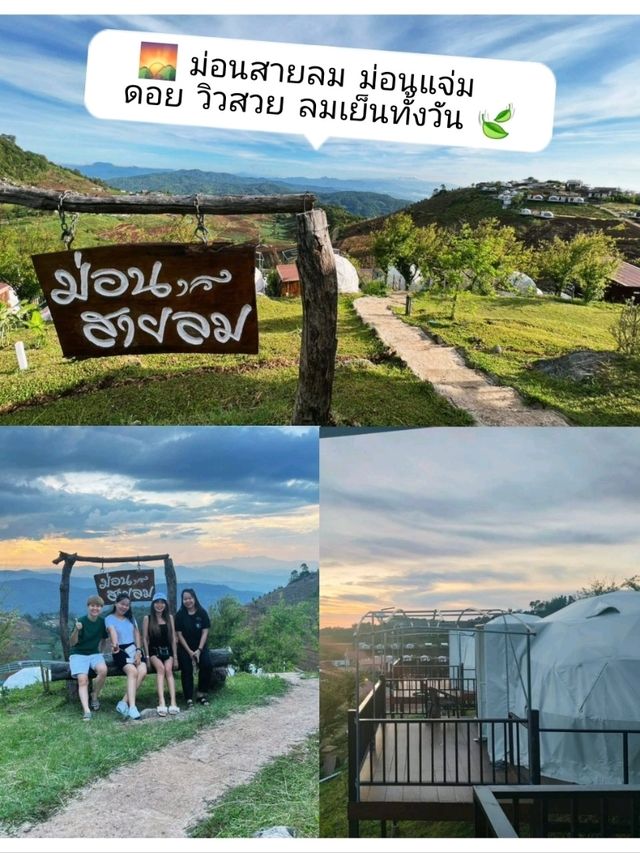 🌄 ม่อนสายลม ม่อนแจ่ม —เชียงใหม่