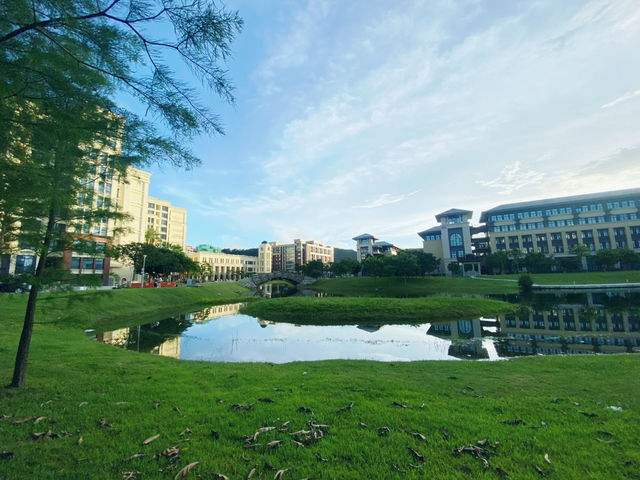 The Silent Gondolas: An Evening Walk Through UM's Dreamscape