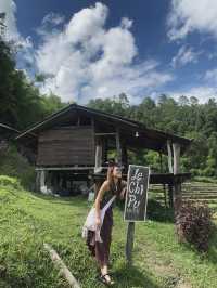 Le Chi Pu HomeStay