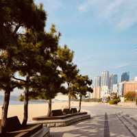 Haeundae Beach, Busan: The Essential Summer Destination